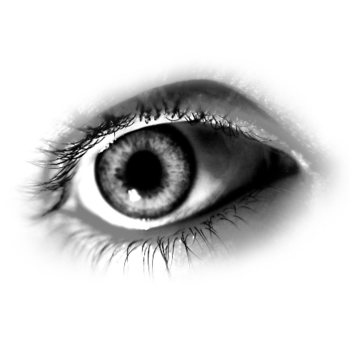 Watchful Eye - Artist Melissa King