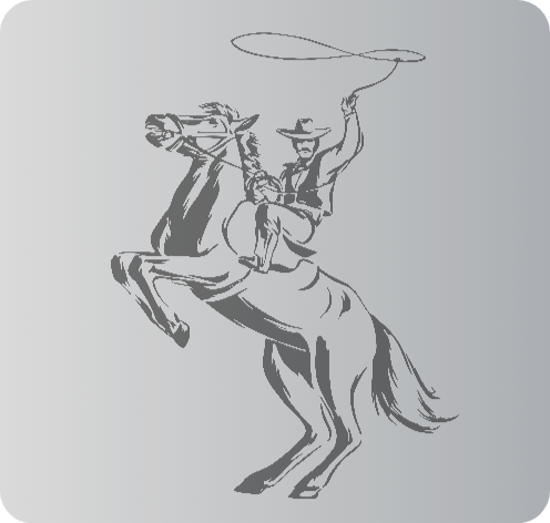 Rodeo Cowboy - Artist Ekaterina Vasilevskaya